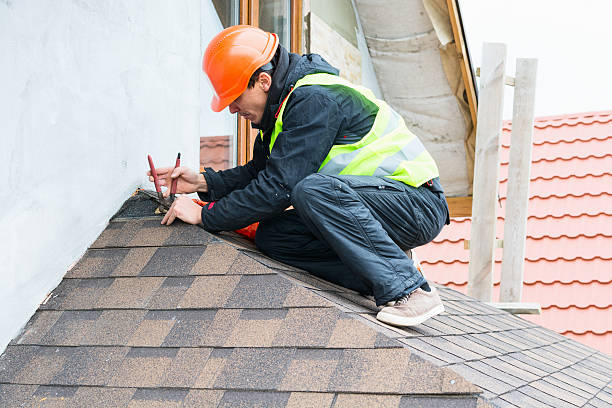 Best Roof Gutter Cleaning  in Waltham, MA